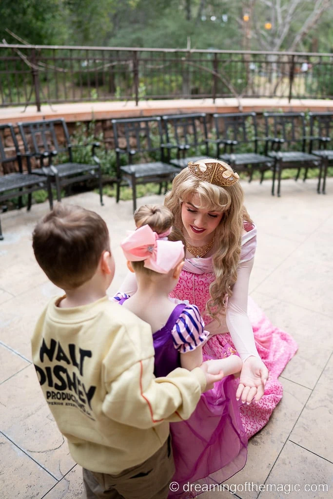 6 Ways to Meet a Disney Princess in Disneyland California (2023) - Dreaming of  the Magic