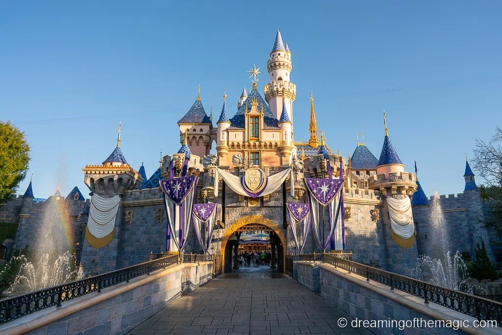 New Disney Princess and Sleeping Beauty Castle Bags at Disneyland