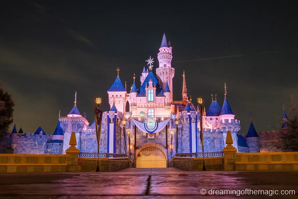 New Disney Princess and Sleeping Beauty Castle Bags at Disneyland