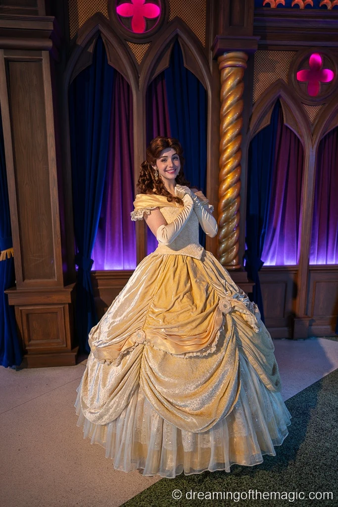 6 Ways to Meet a Disney Princess in Disneyland California (2023 ...