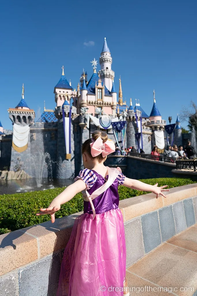 Napa Rose Princess Breakfast Disneyland California