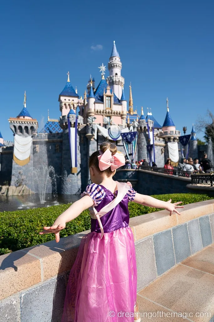 https://dreamingofthemagic.com/wp-content/uploads/2023/03/Napa-Rose-Princess-Breakfast-Disneyland-California-4.webp