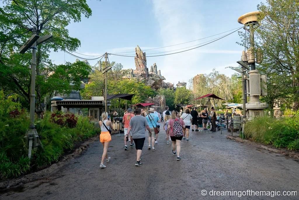 Hollywood Studios Early Entry