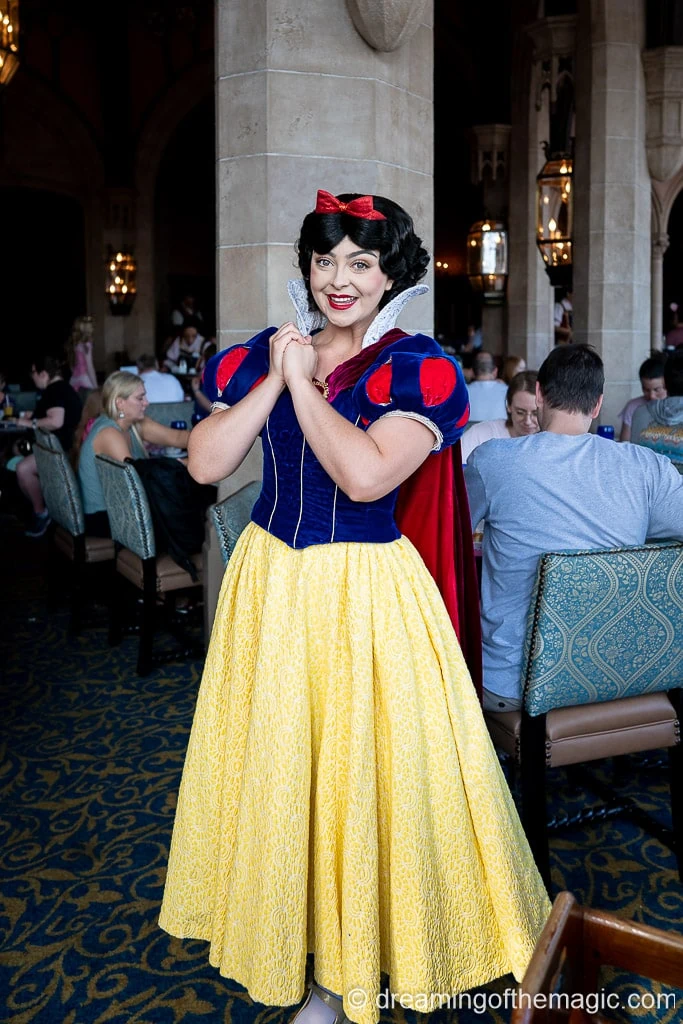 Meeting the Disney Princesses in Disney World