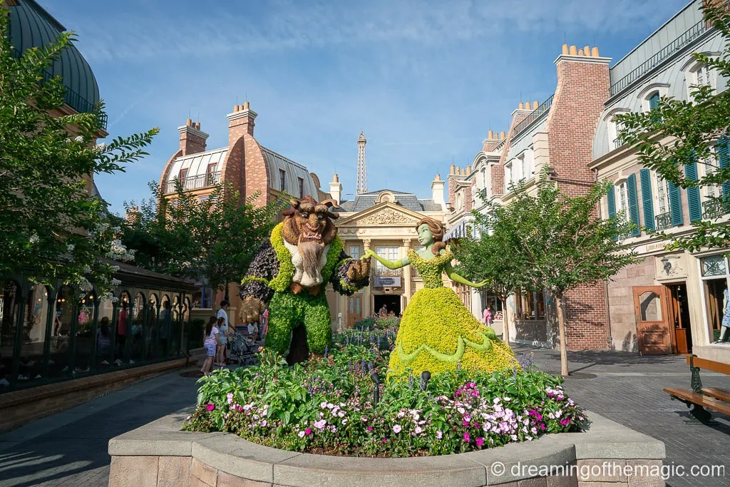 Meeting the Disney Princesses in Disney World