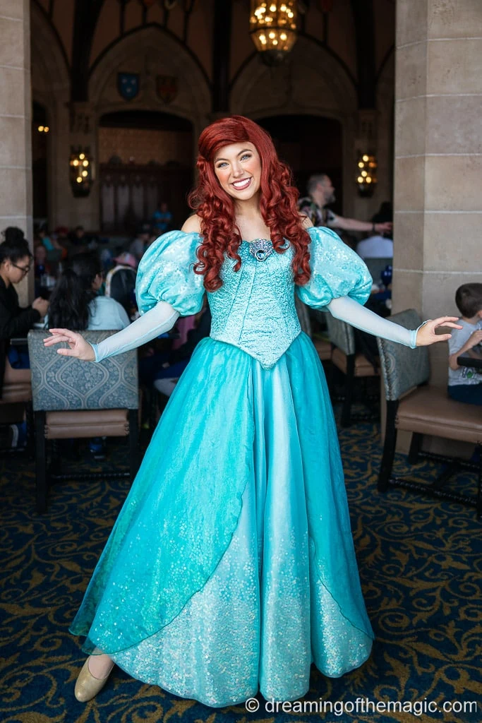 Where to Meet Princesses in Disney World (2023) - Dreaming of the Magic