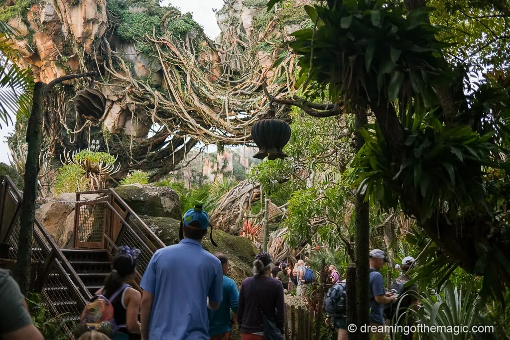 Animal Kingdom Early Entry Strategy