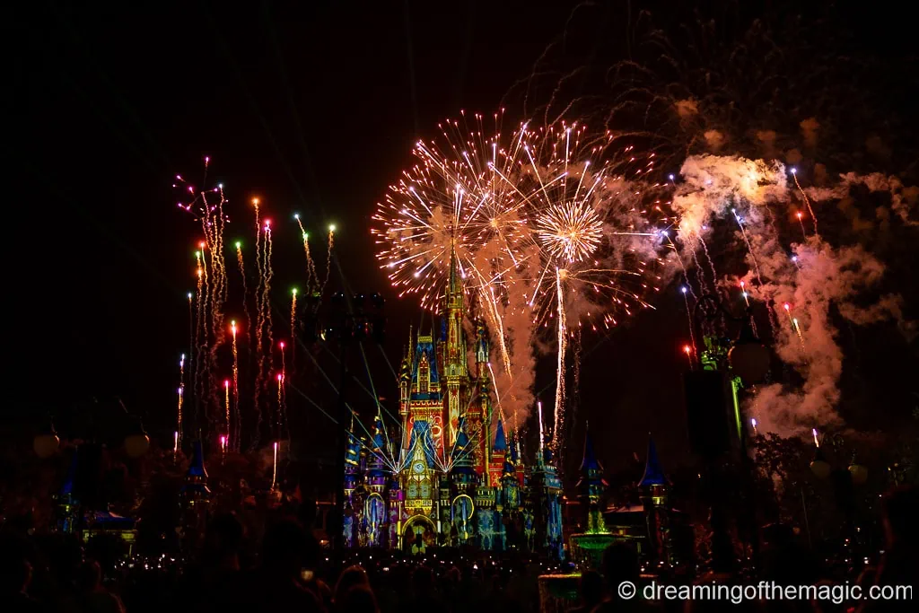 Magic Kingdom Fireworks Dessert Party Disney World