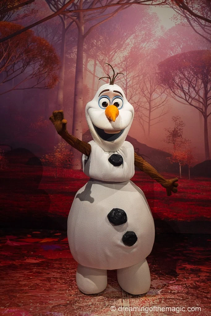 Disneyland Paris Christmas Guide